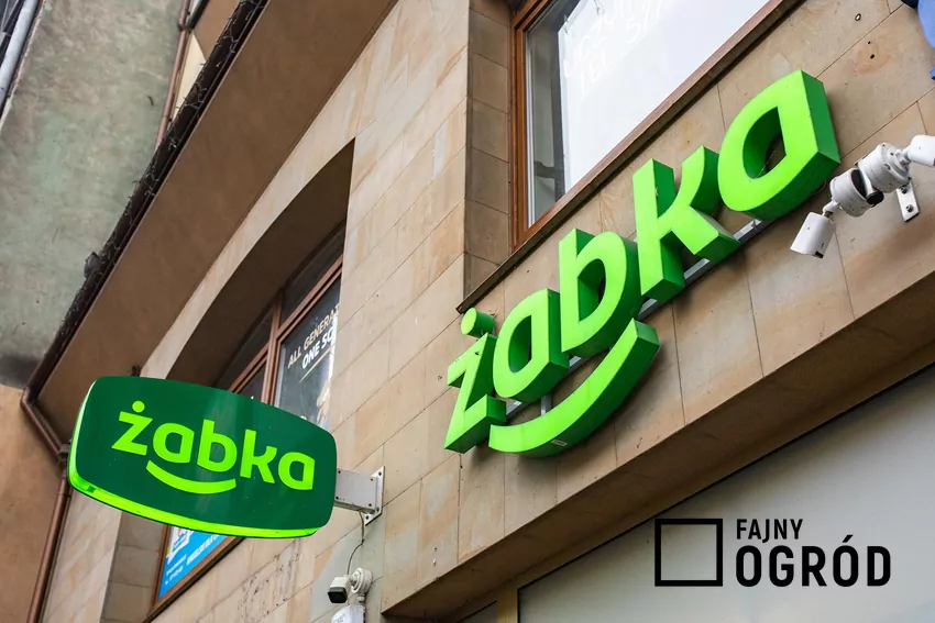 Żabka sklep