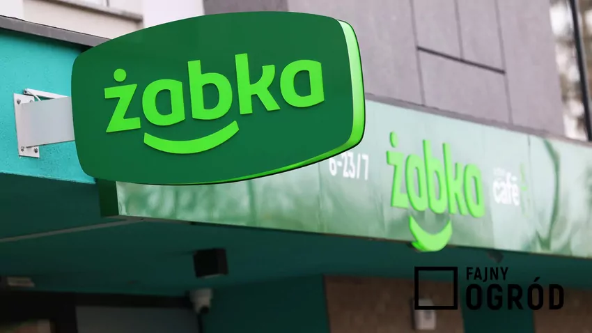 Żabka logo