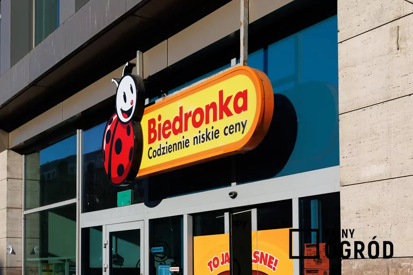 Biedronka
