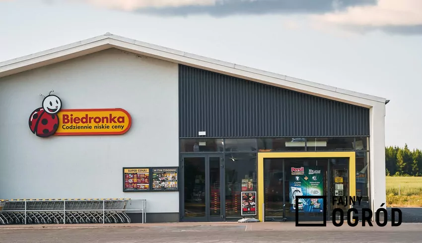 Biedronka