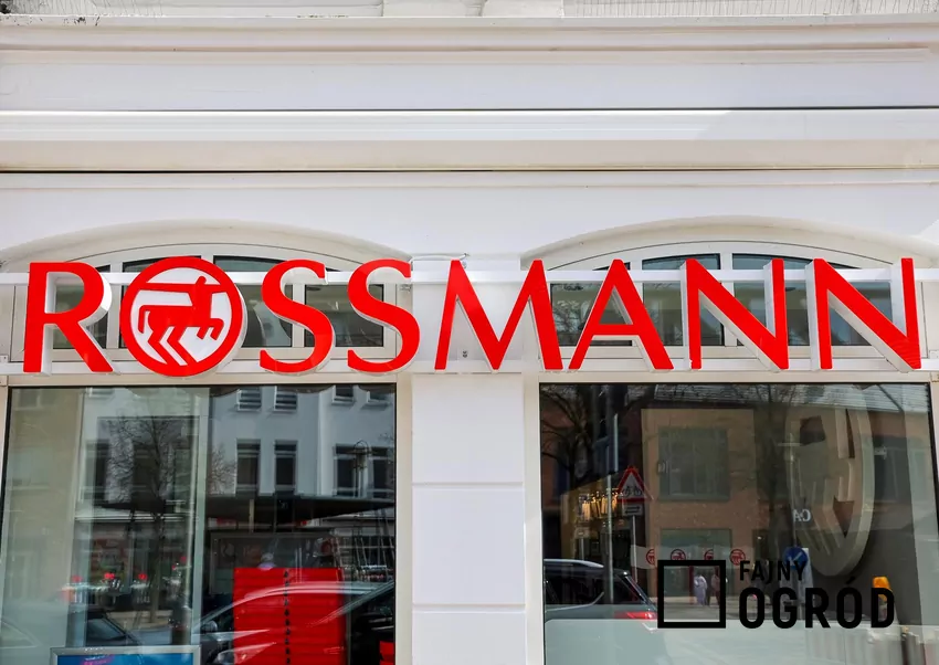 Rossmann