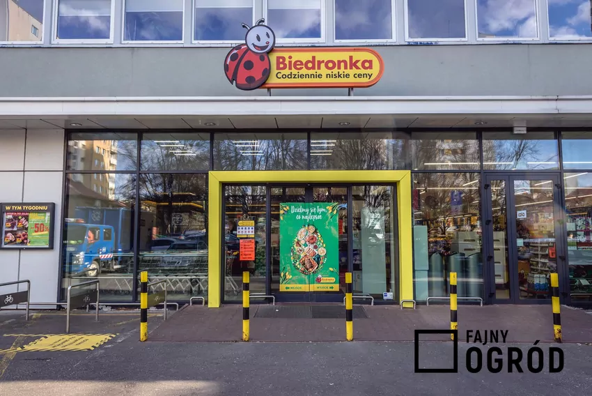 Biedronka