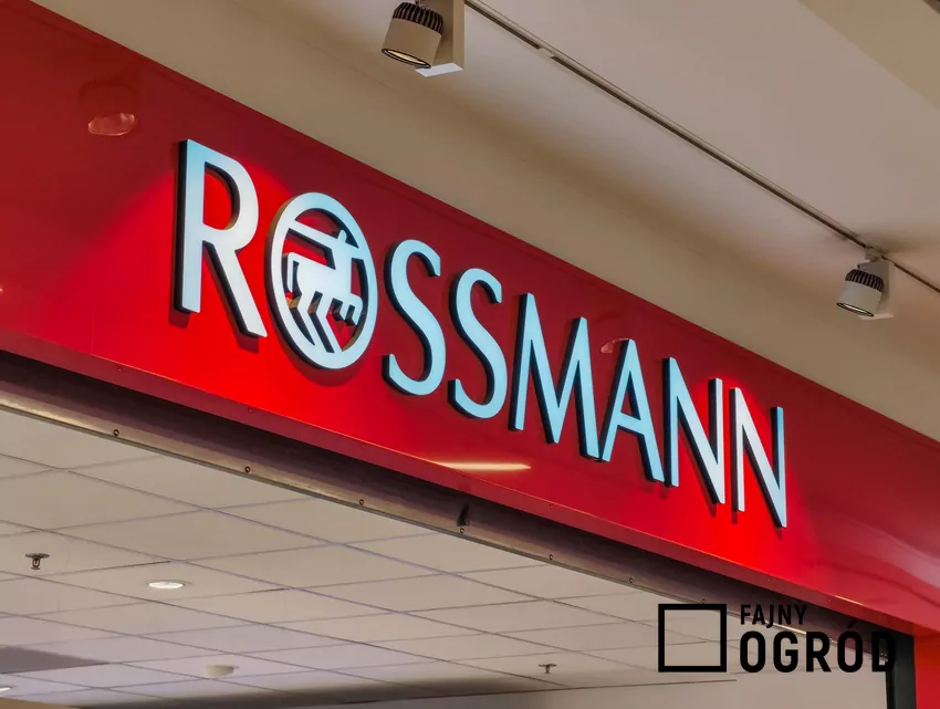 Rossmann