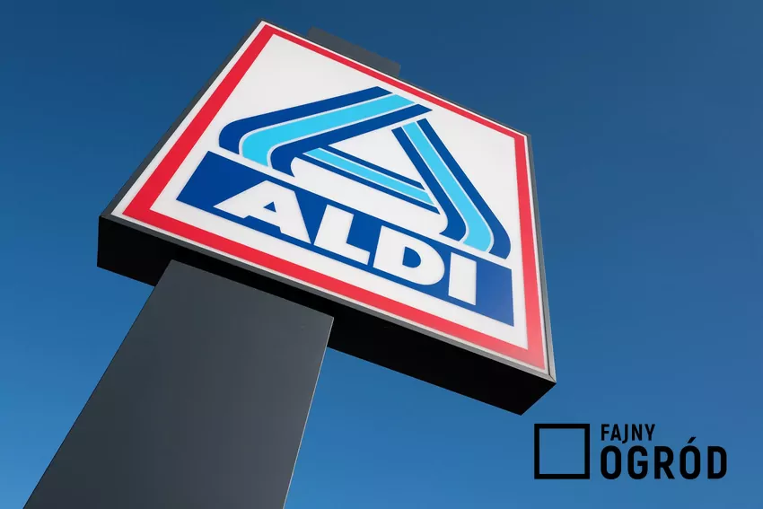 Zwrot gotówki za kaucję w Aldi
