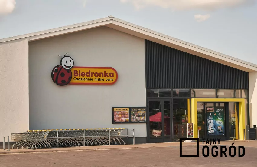 Biedronka