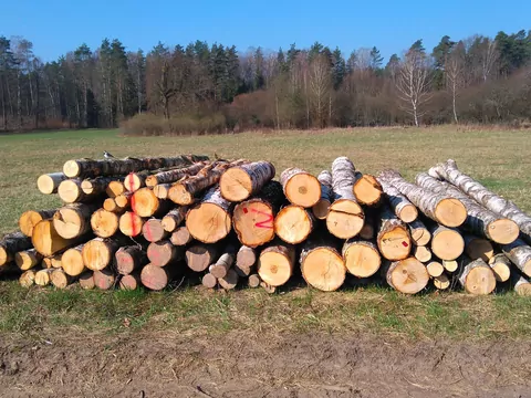 Drewno opałowe gotowe a przygotowane samodzielnie