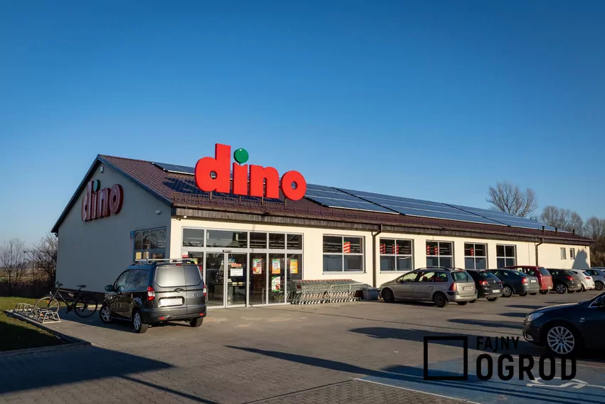 Dino chce być jednym z liderów zmian Dino sklep