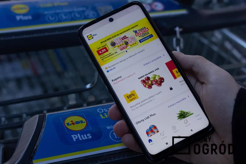 Aplikacja Lidl Plus w telefonie na tle wózka sklepowego