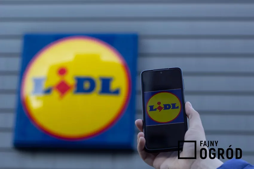 Telefon z logiem sklepu Lidl