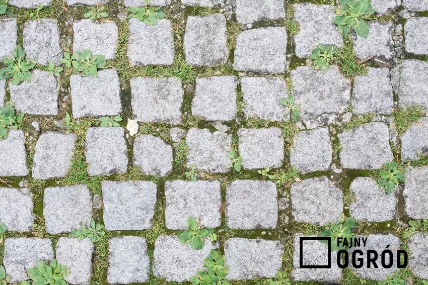Czyszczenie kostki z kamienia naturalnego wymaga szczególnej ostrożności