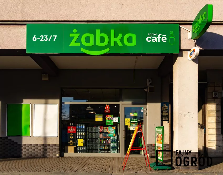 Żabka