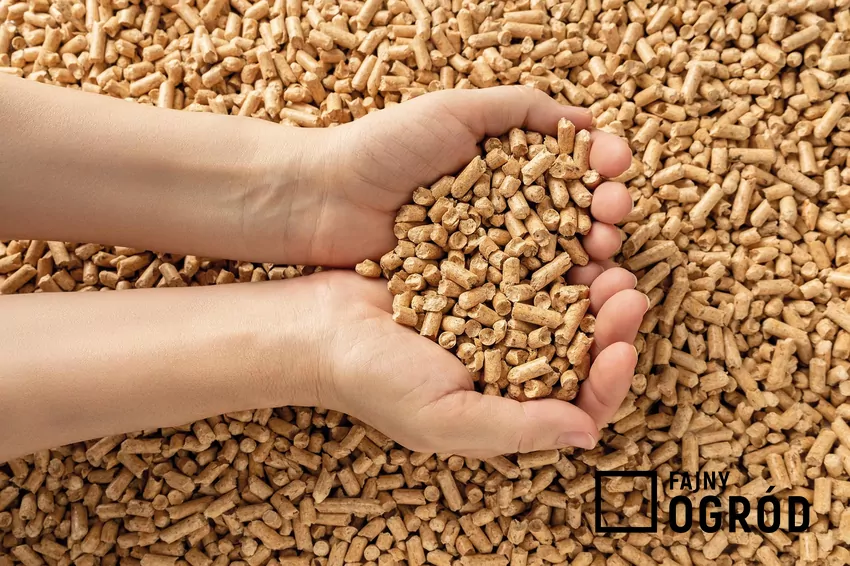 pellet