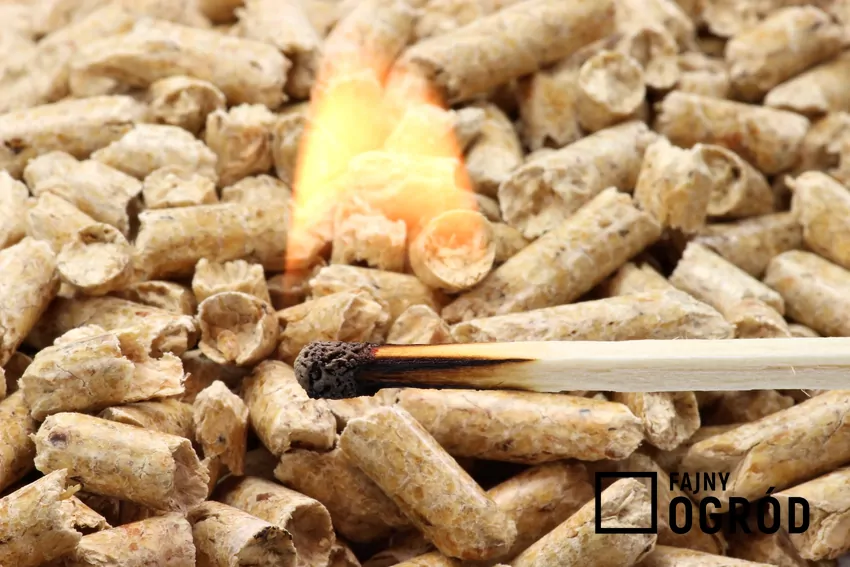 pellet, zapałka, ogień