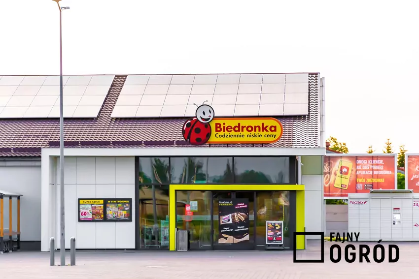 Biedronka