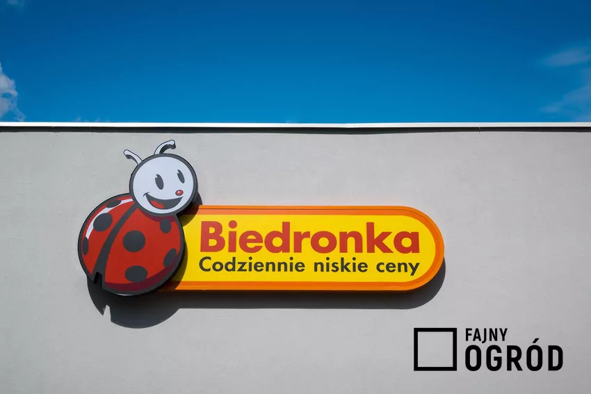 Biedronka