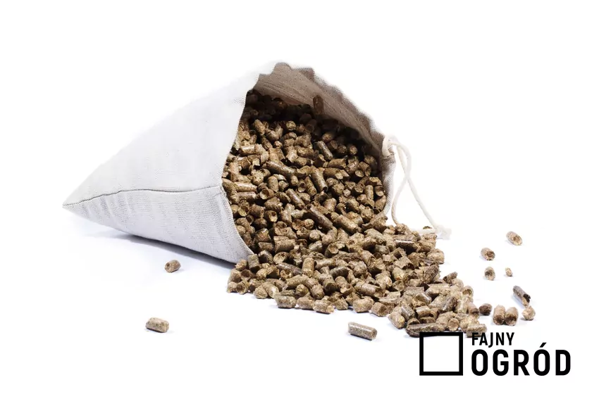 worek z pelletem