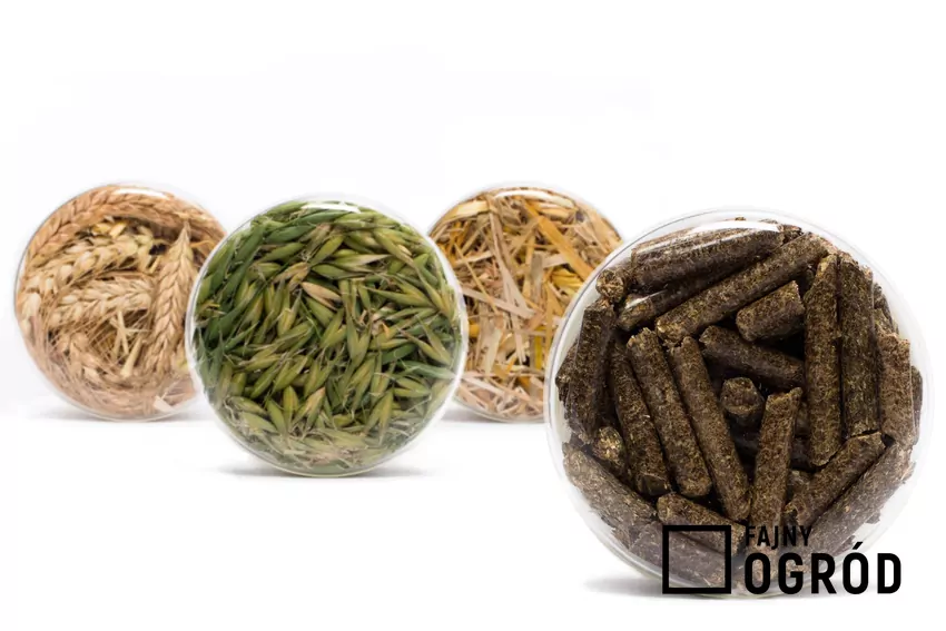 pellet, agropellet, zamienniki pelletu
