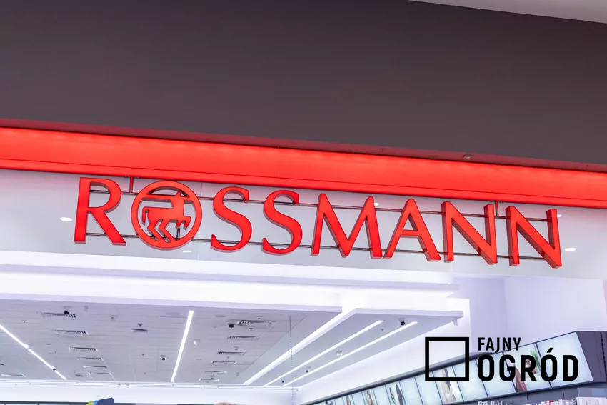 W Rossmannie dużo ciekawych promocji kultowych zapachów Rossmann
