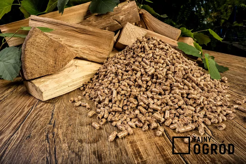 Pellet i jego produkcja, czyli sposoby produkcji pelletu, koszt, opłacalność i opalanie pelletem Pellet wysypany przy kawałkach drewna, a także produkcja pelletu krok po kroku, czyli sposoby, ceny oraz ogrzewanie pelletem