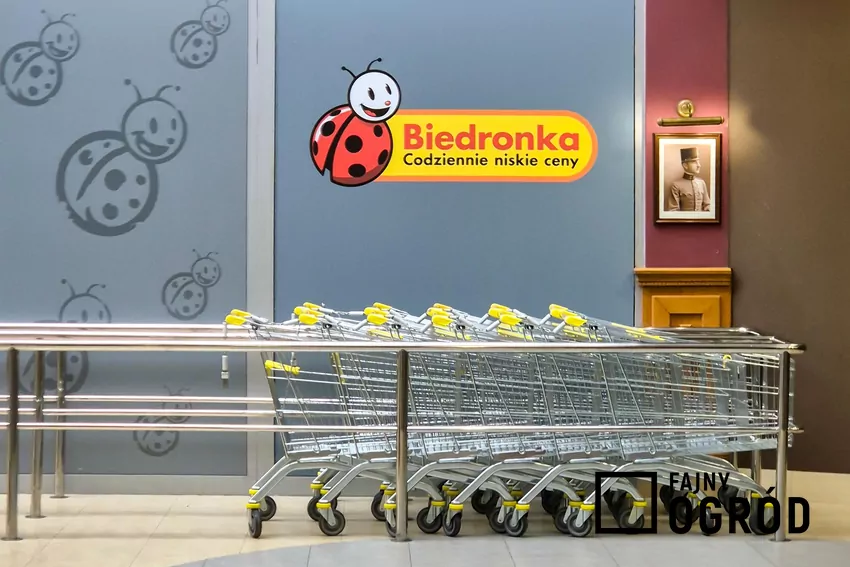 Biedronka