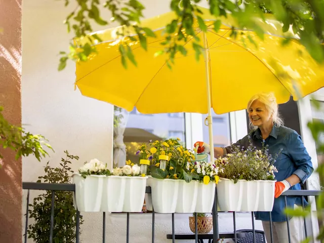 Zabezpieczenie roślin balkonowych przed burzą