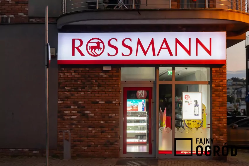 Rossmann - wejście