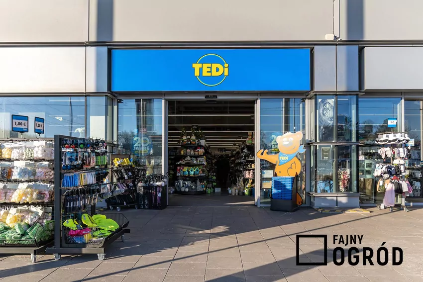 TEDi nie zamierza zwalniać tempa i chce umocnić swoją pozycję na polskim rynku Tedi sklep