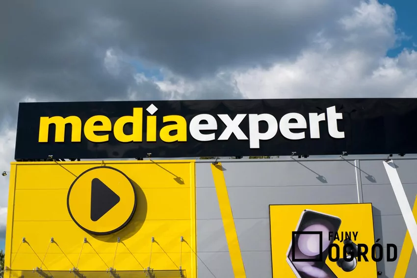 Media Expert