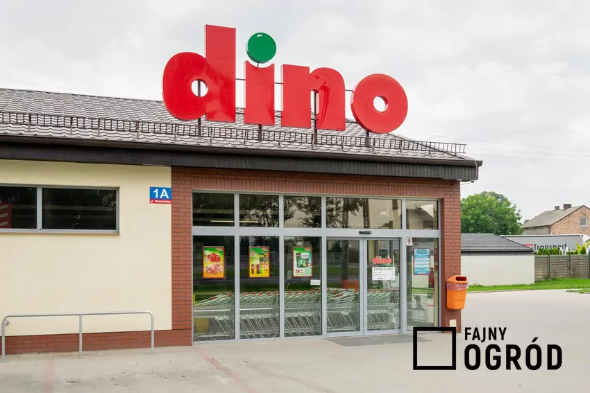 Sklep działa tylko do 4 lipca Sklep Dino
