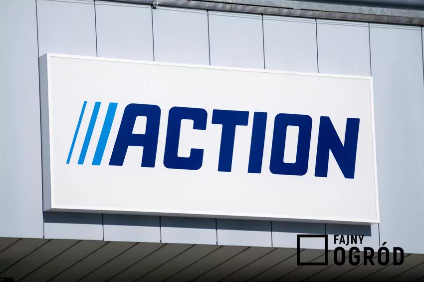 Promocja na basen w Action