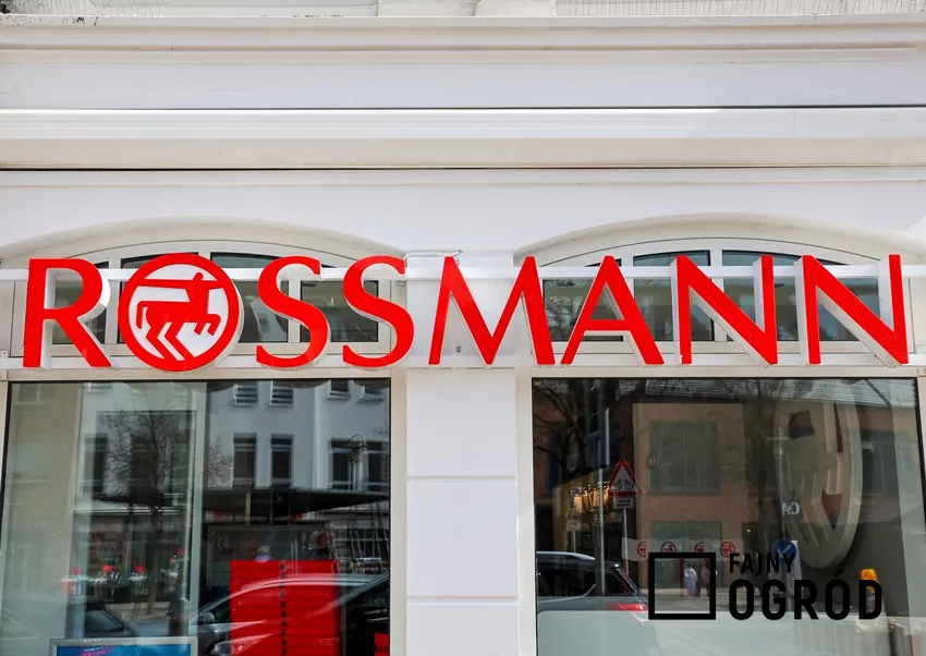 W Rossmannie dużo ciekawych promocji kosmetyków do twarzy Rossmann