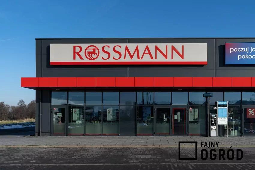 W Rossmannie dużo ciekawych promocji kosmetyków do twarzy Rossmann