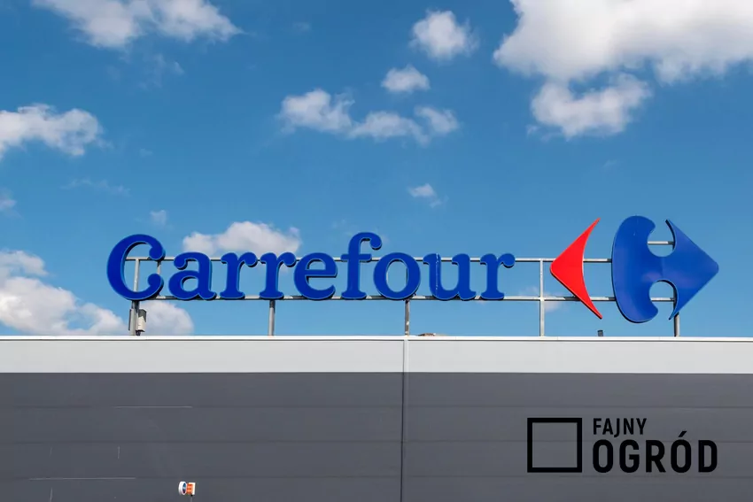 Sklep Carrefour
