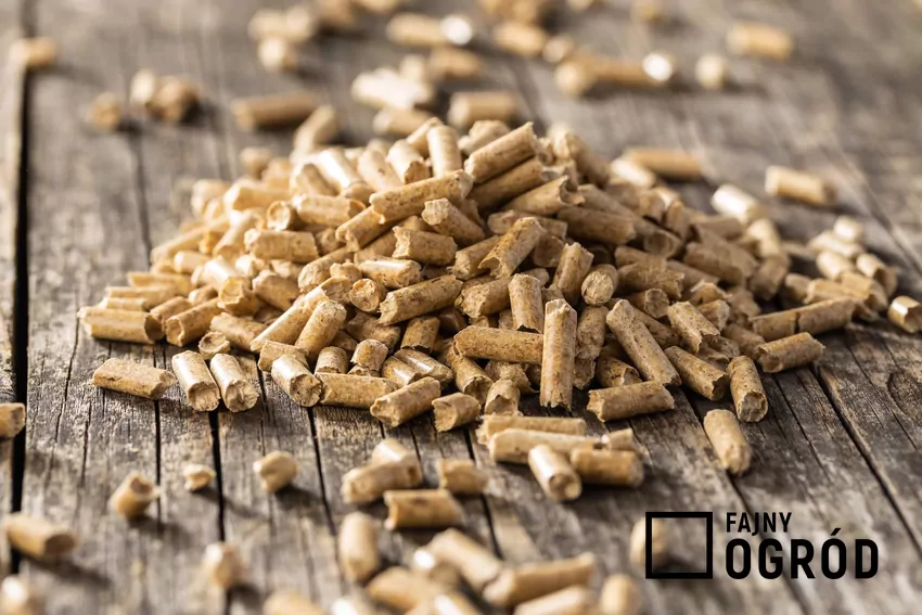 Po sezonie grzewczym spodziewaliśmy wyraźnych spadków cen pelletu pellet drzewny