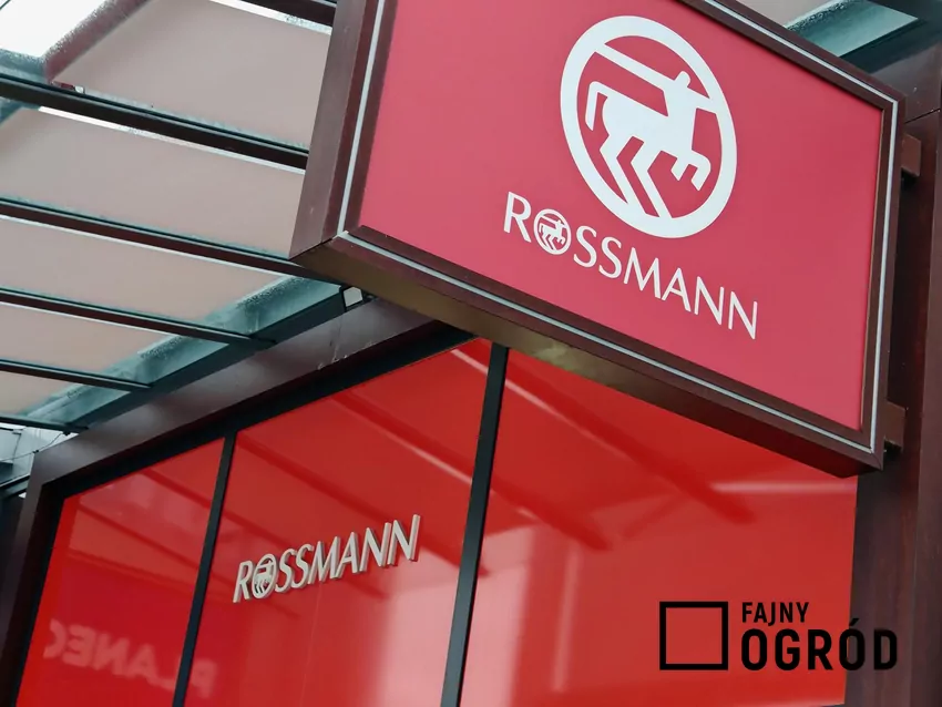W Rossmannie dużo ciekawych promocji perfum Rossmann
