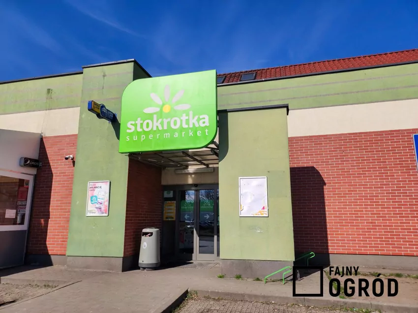 Nowe promocje w Stokrotce od czwartku Stokrotka