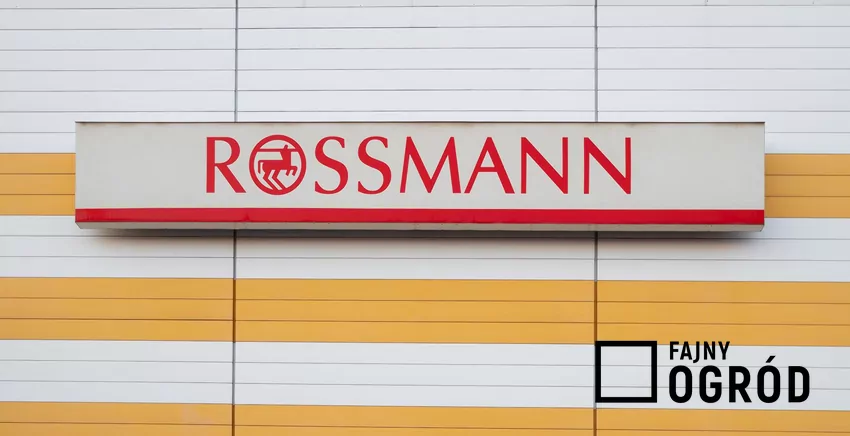 W Rossmannie dużo ciekawych promocji różnych zapachów Rossmann