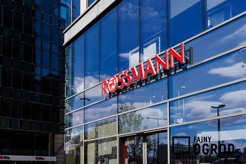 Rossmann