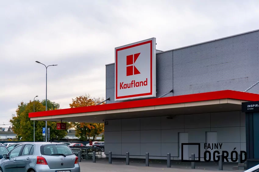Kaufland