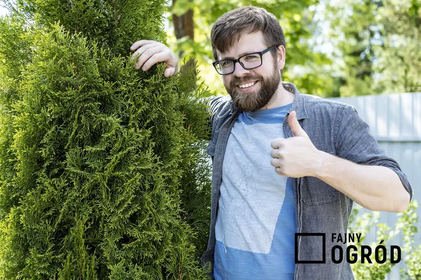 Męzczyzna stojący obok tui