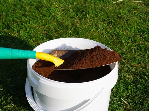 Nawożenie trawnika fusami z kawy