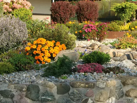 Najlepsze rośliny na skalniak