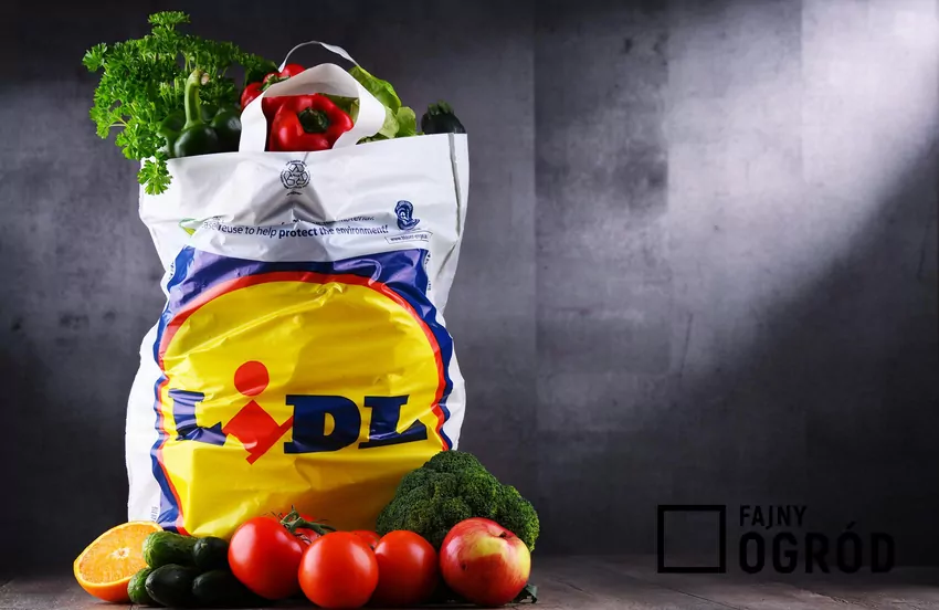 Reklamówk z zakupami z Lidla