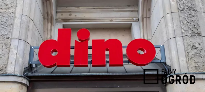 Logo sklepu Dino