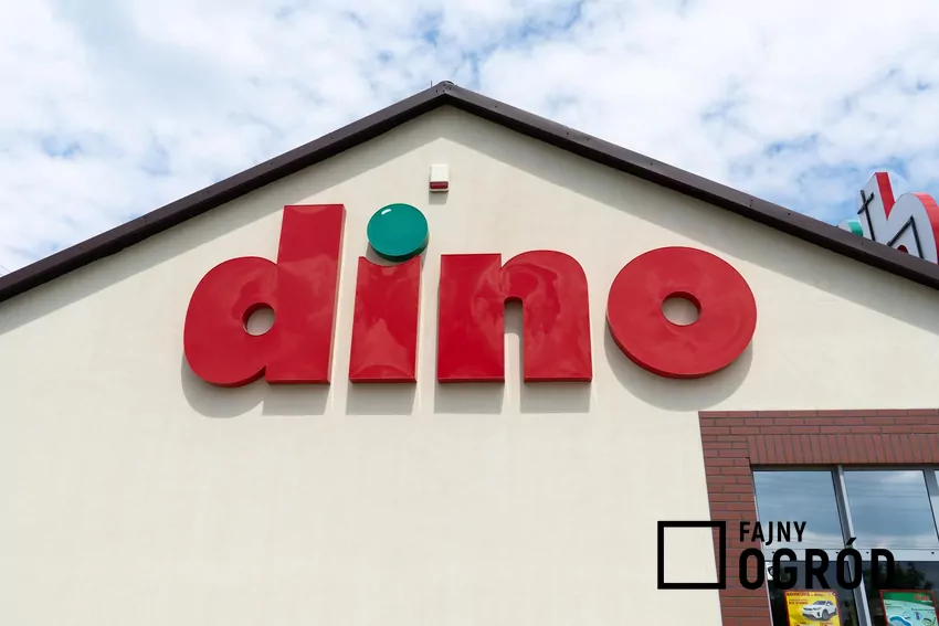 W dniach 20-26 sierpnia promocje na różne artykuły spożywcze w Dino Sklep Dino