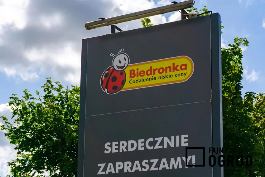 W Biedronce niedziela handlowa 31.08 Sklep Biedronka