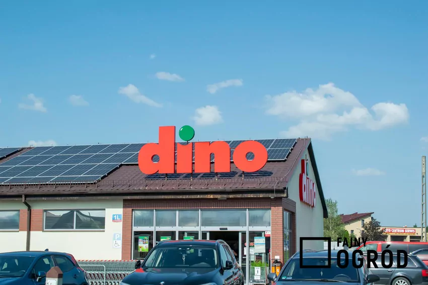 Nowa gazetka Dino - ważna od 26 sierpnia do 2 września Dino - baner sklepu