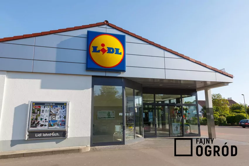 Nowa gazetka Lidla - ważna od 28 do 31 sierpnia Sklep LidlMarkus Mainka