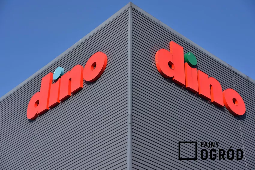 Sklep Dino Logo sklepu Dino