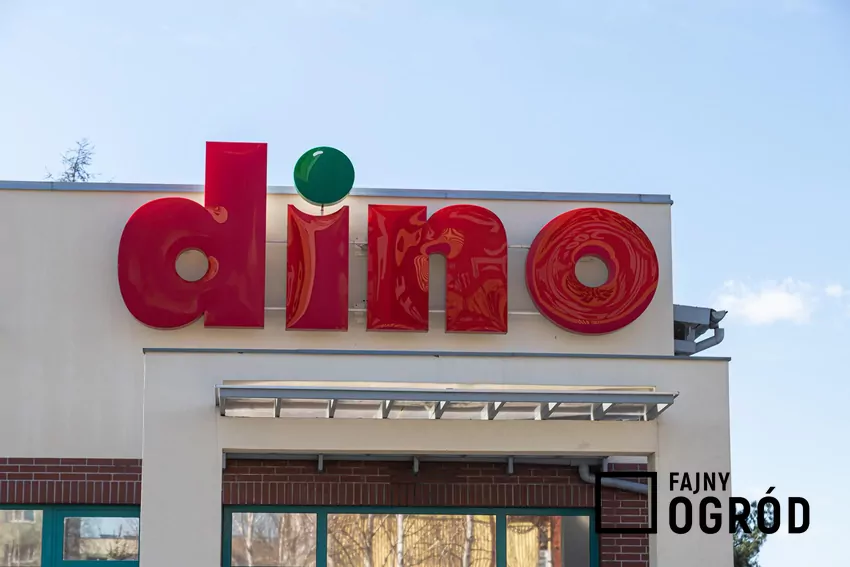 Do 2 września dużo przecenionych produktów w sieci sklepów Dino Sklep Dino
